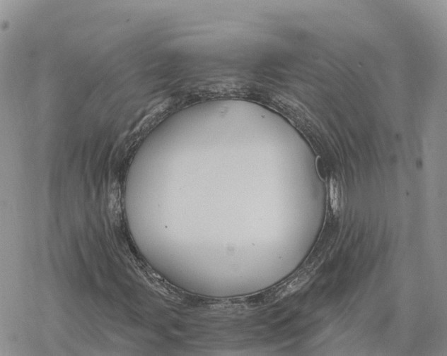 X0000078261107200611251321