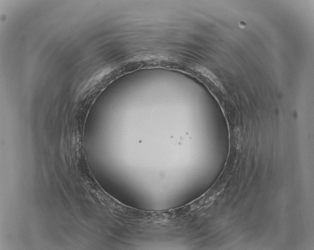 X0000078261111200611251321