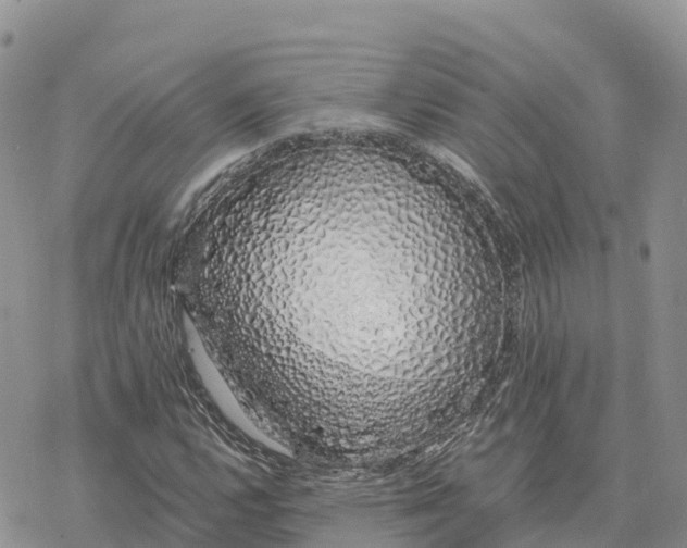 X0000078261112200611251321