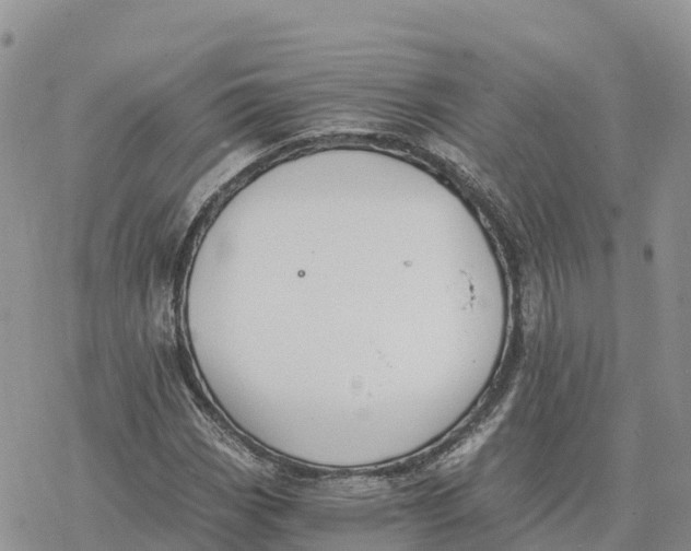 X0000078261113200611251321