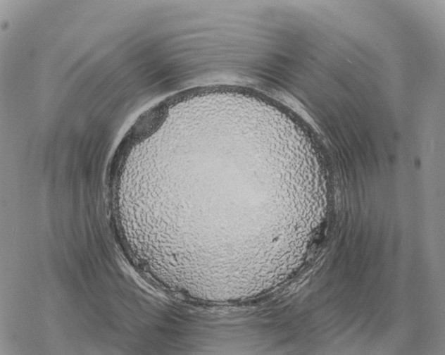 X0000078261116200611251322