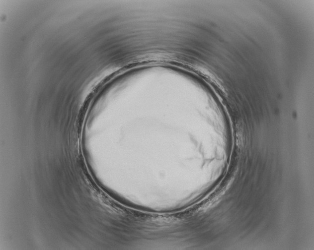 X0000078261117200611251322