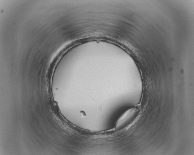 X0000078261118200611251322