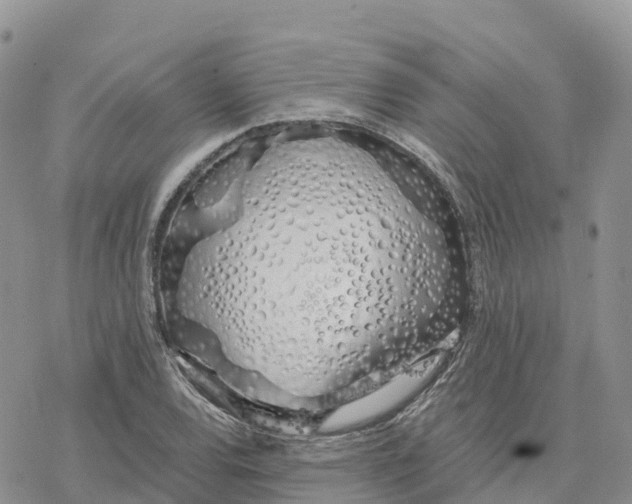 X0000078261120200611251322