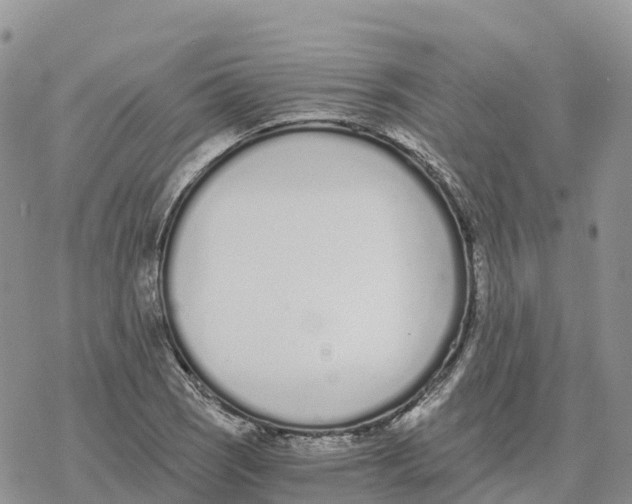 X0000078261121200611251322