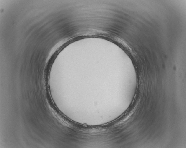 X0000078261122200611251322