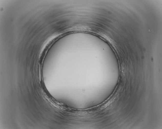 X0000078261123200611251322