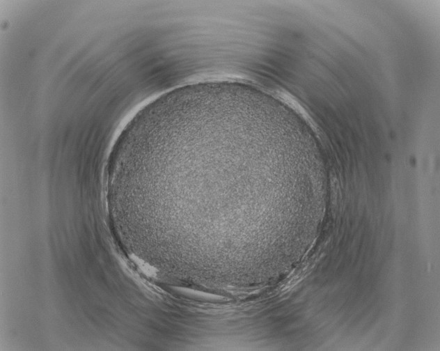 X0000078261124200611251322