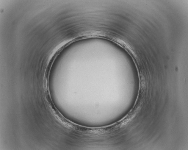 X0000078261125200611251322