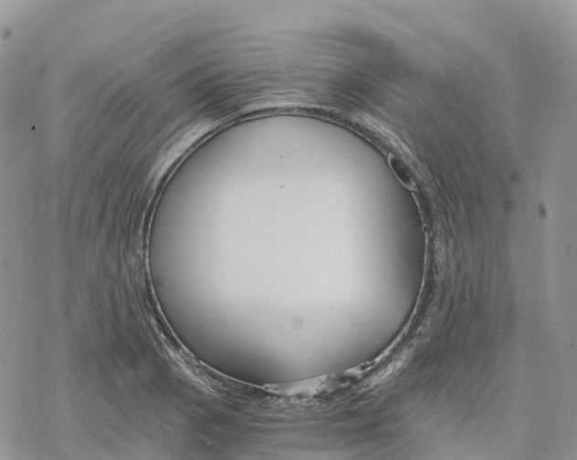 X0000078261129200611251322