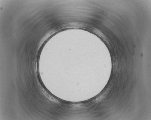 X0000078261130200611251322