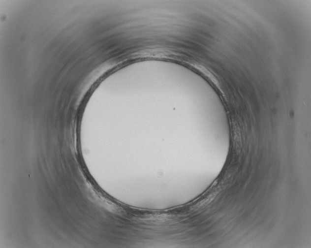 X0000078261131200611251322