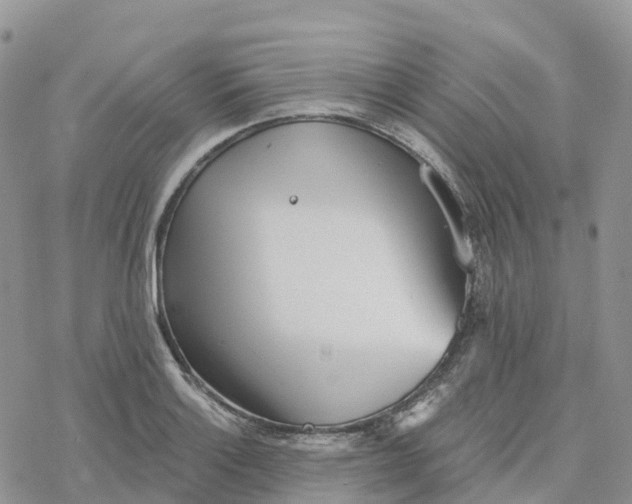 X0000078261132200611251322