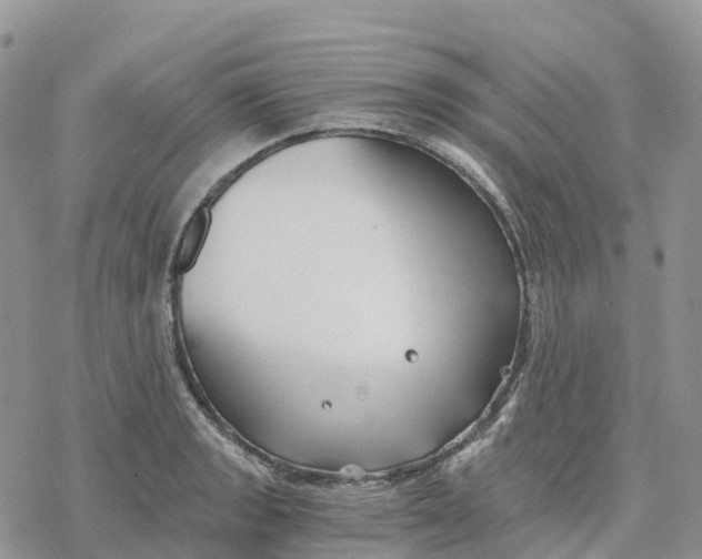 X0000078261133200611251322