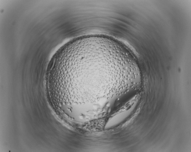 X0000078261134200611251322