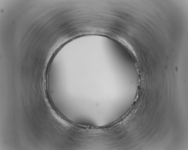 X0000078261136200611251322