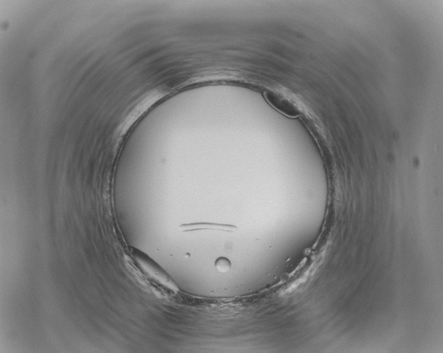 X0000078261137200611251322