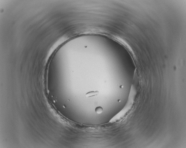 X0000078261138200611251322