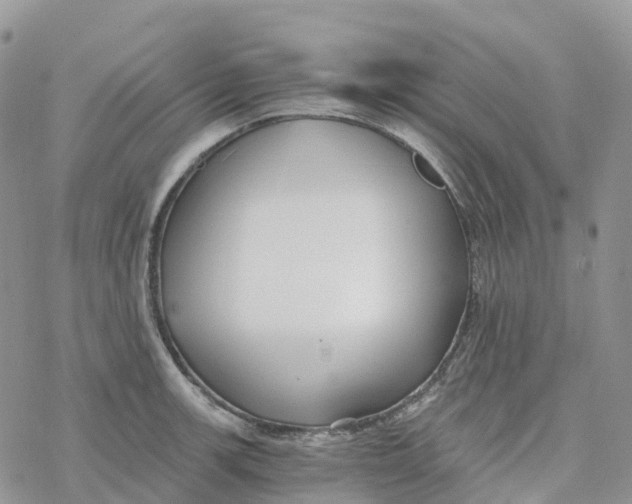 X0000078261139200611251322