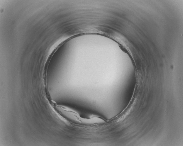 X0000078261141200611251322