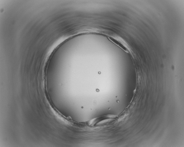 X0000078261143200611251322