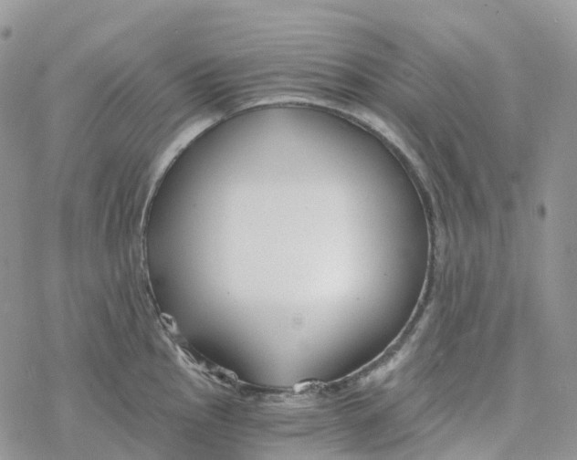 X0000078261145200611251322