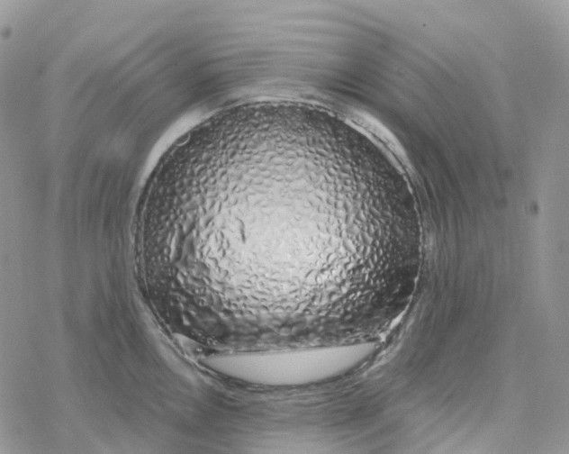 X0000078261146200611251322