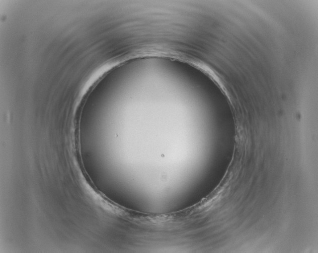 X0000078261147200611251322