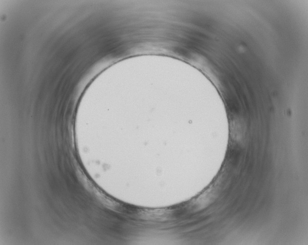 X0000078261150200611251322