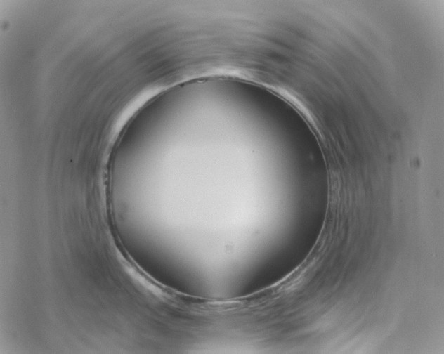 X0000078261151200611251322