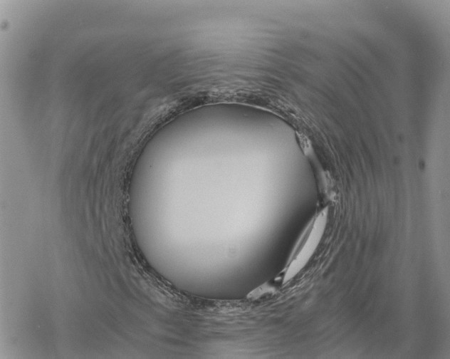 X0000078261153200611251321