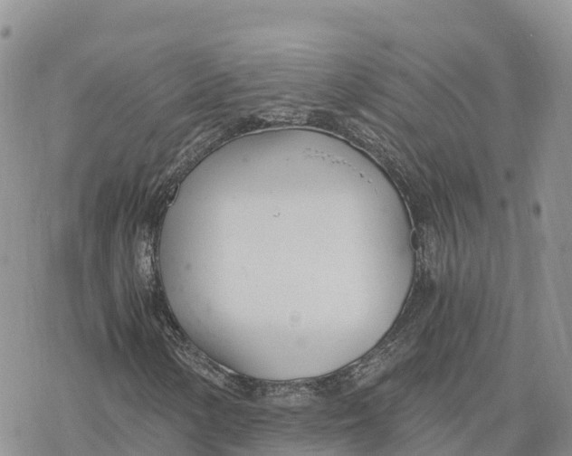 X0000078261154200611251321