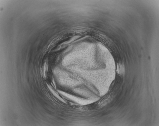 X0000078261155200611251321