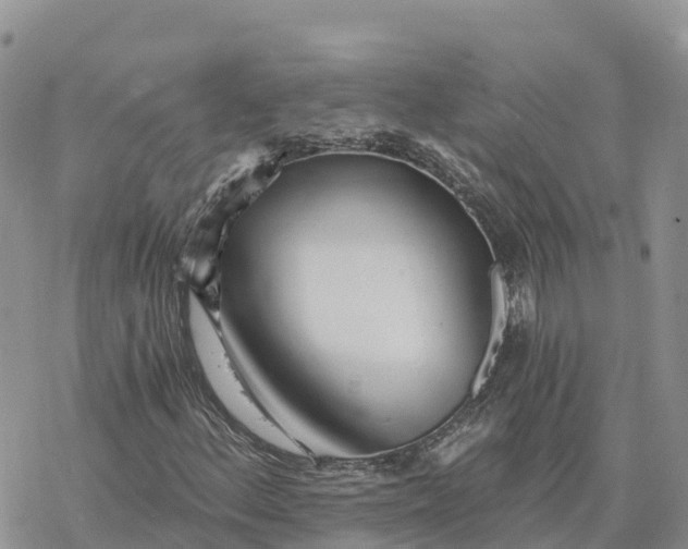 X0000078261156200611251321