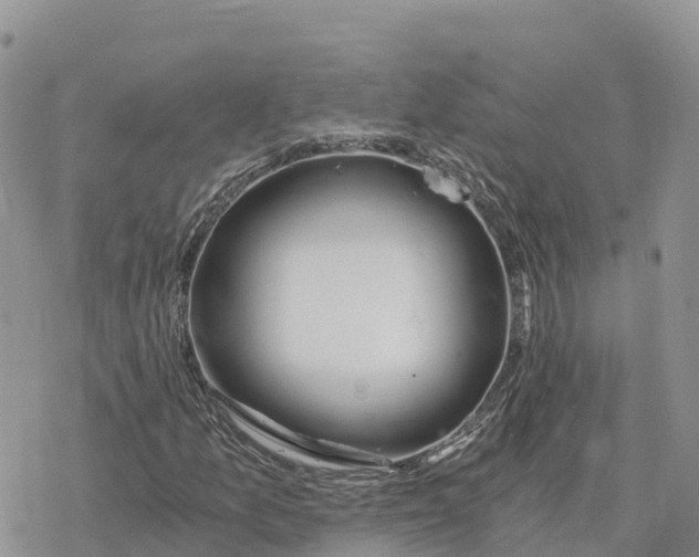 X0000078261157200611251321