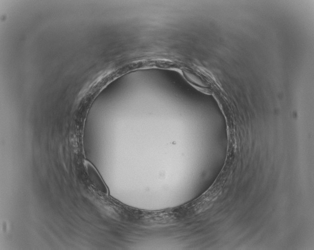 X0000078261159200611251321