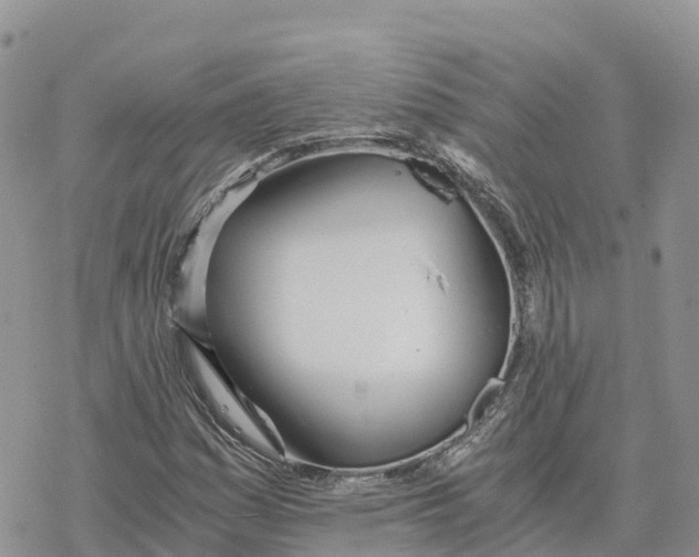 X0000078261161200611251321