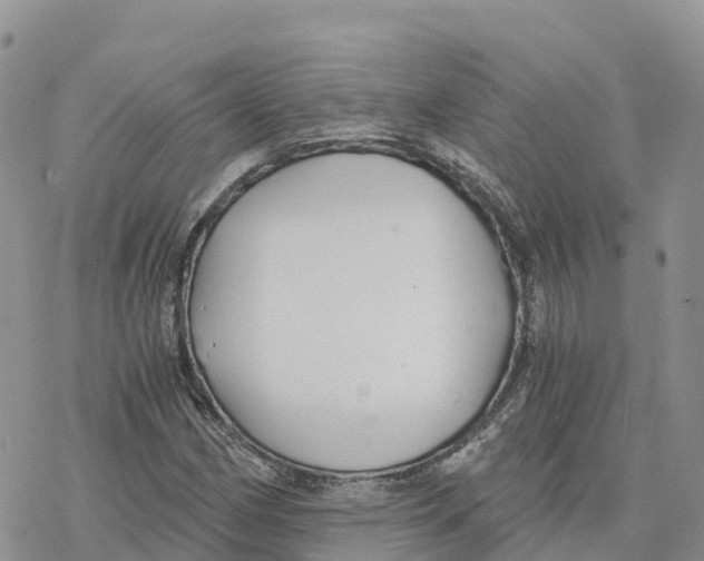 X0000078261162200611251321