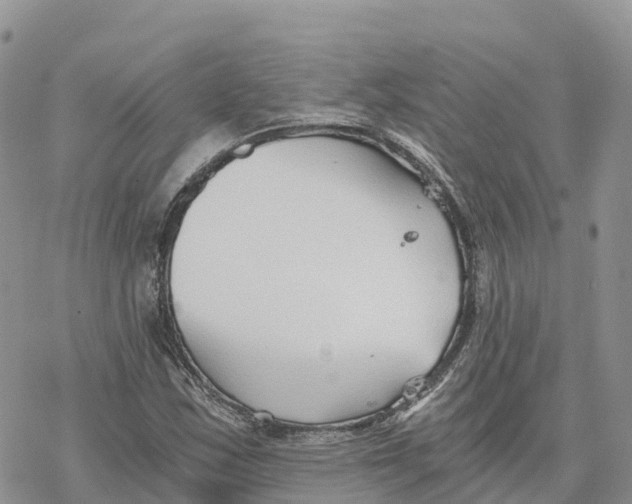 X0000078261163200611251321