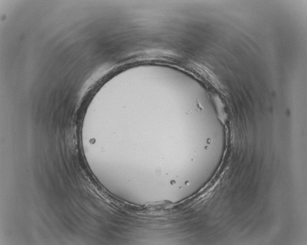 X0000078261164200611251321