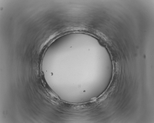 X0000078261165200611251321