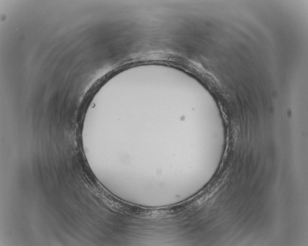 X0000078261166200611251321