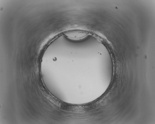 X0000078261167200611251321