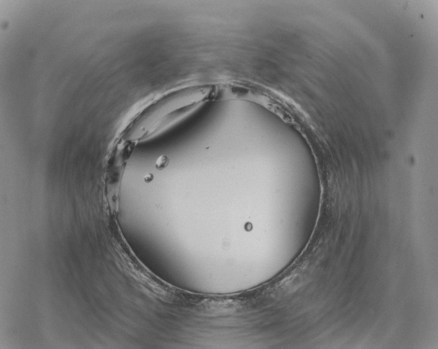 X0000078261168200611251321