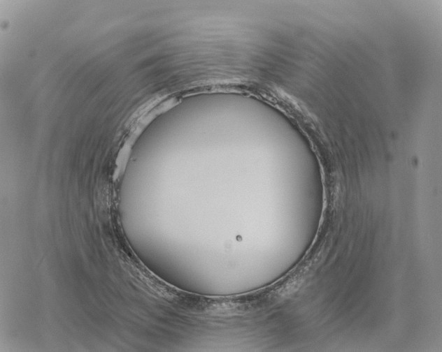 X0000078261169200611251321