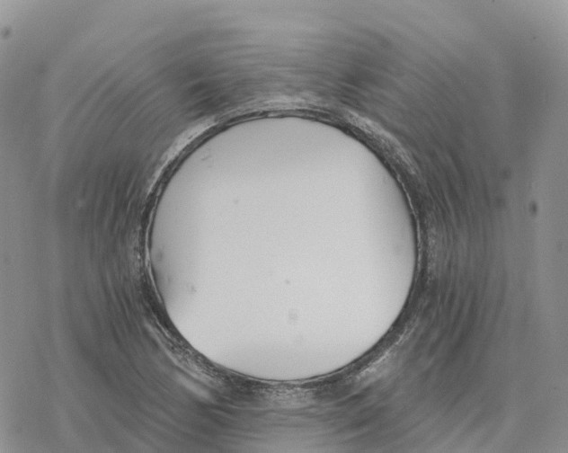 X0000078261170200611251321