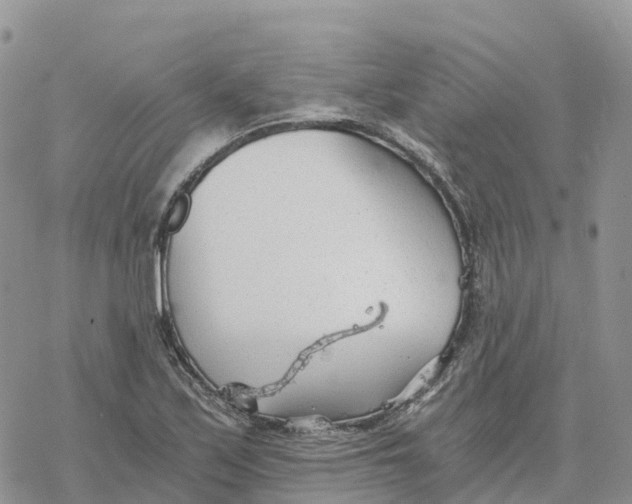 X0000078261171200611251321