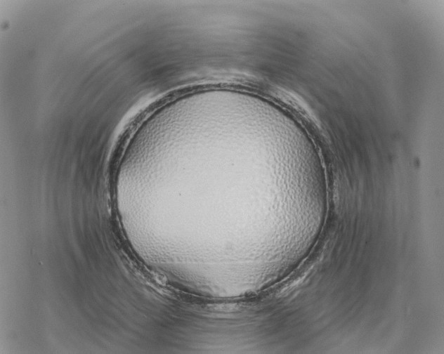 X0000078261172200611251321