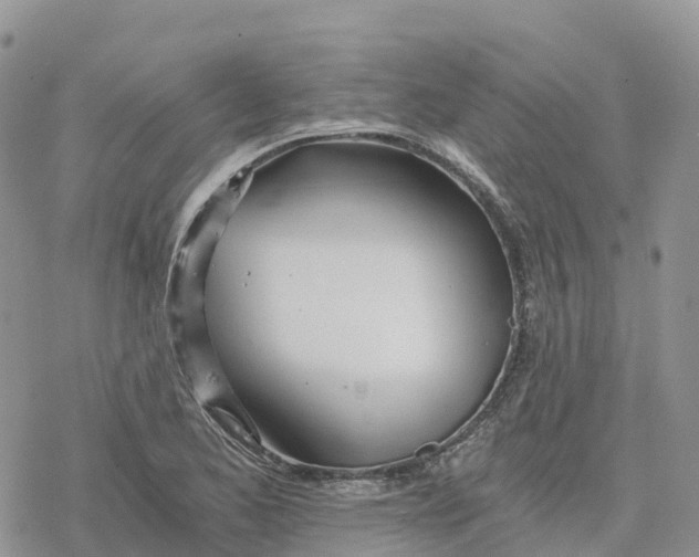 X0000078261173200611251321