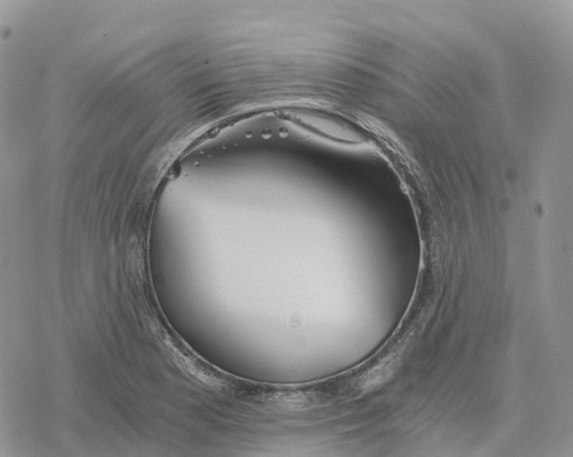 X0000078261177200611251321